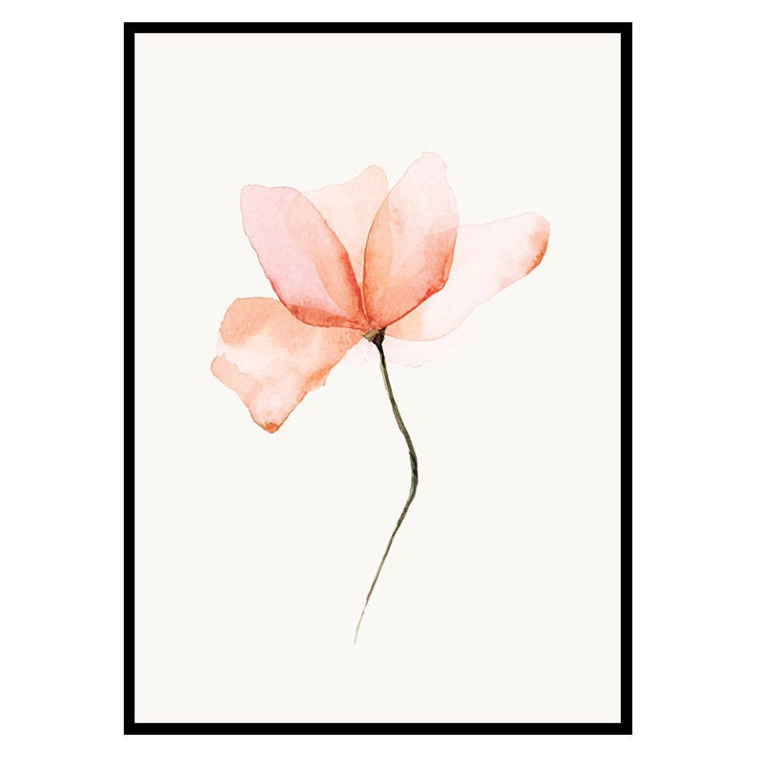Poster Gallerix Watercolor Flower