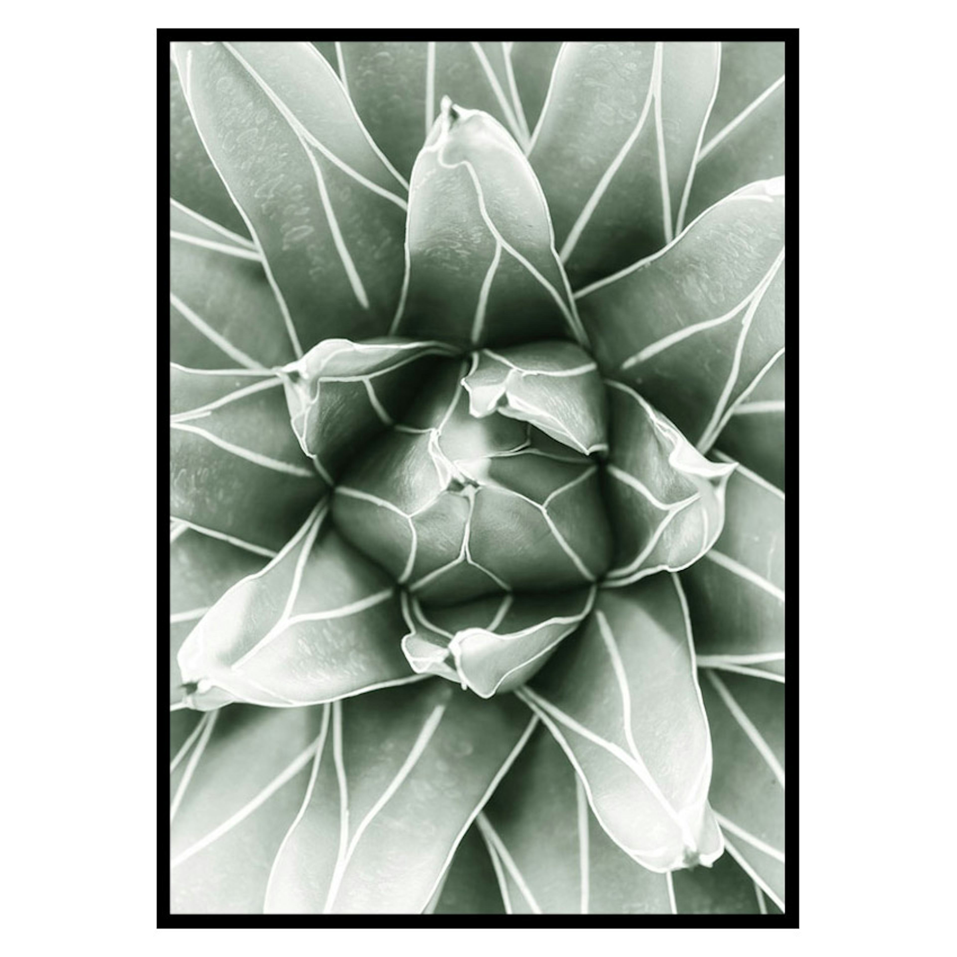 Poster Gallerix Bright Green Botanical No1