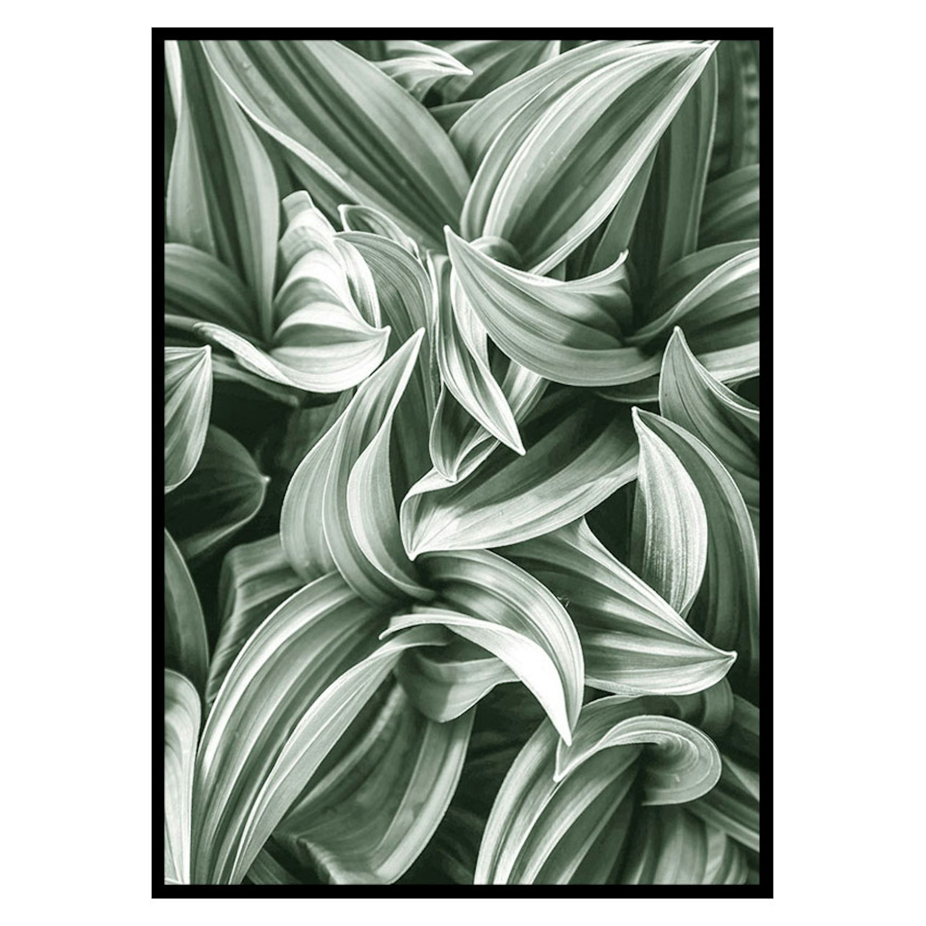 Poster Gallerix Bright Green Botanical No2