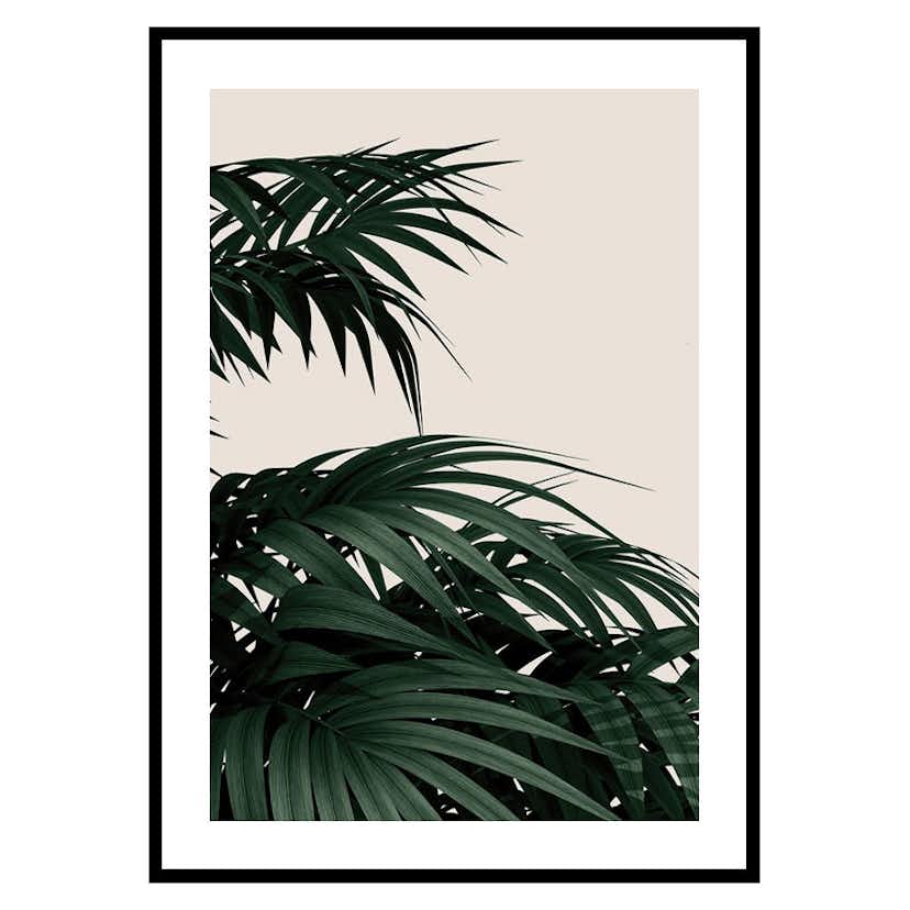 Poster Gallerix Palm Leaves Natural