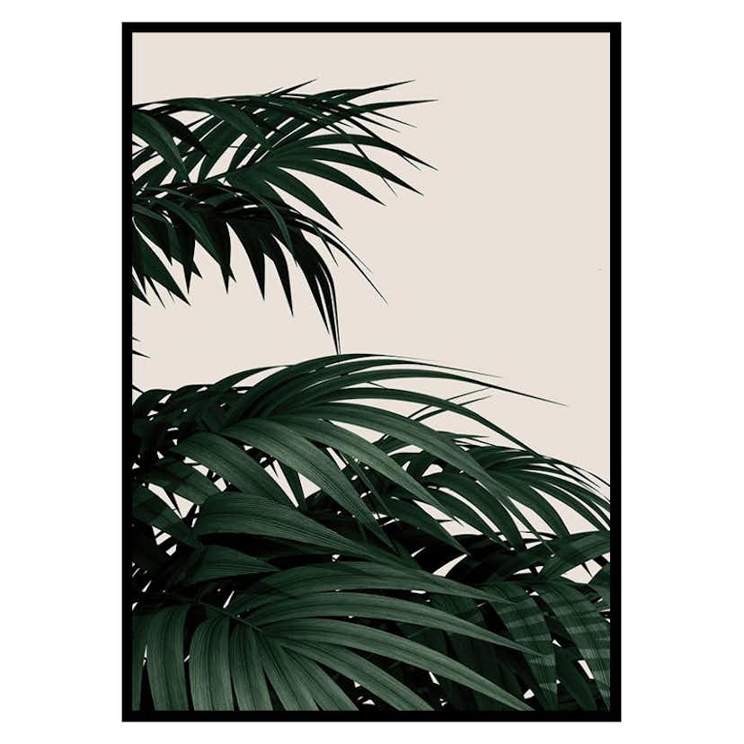 Poster Gallerix Palm Leaves Natural