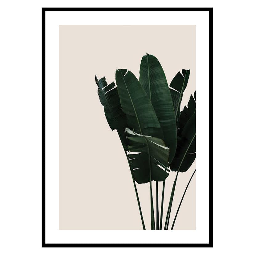 Poster Gallerix Banana Leaves Natural