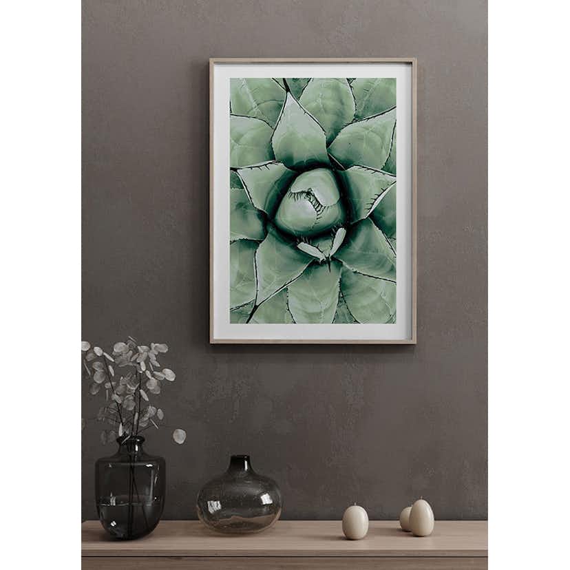 Poster Gallerix Agave Close Up No1