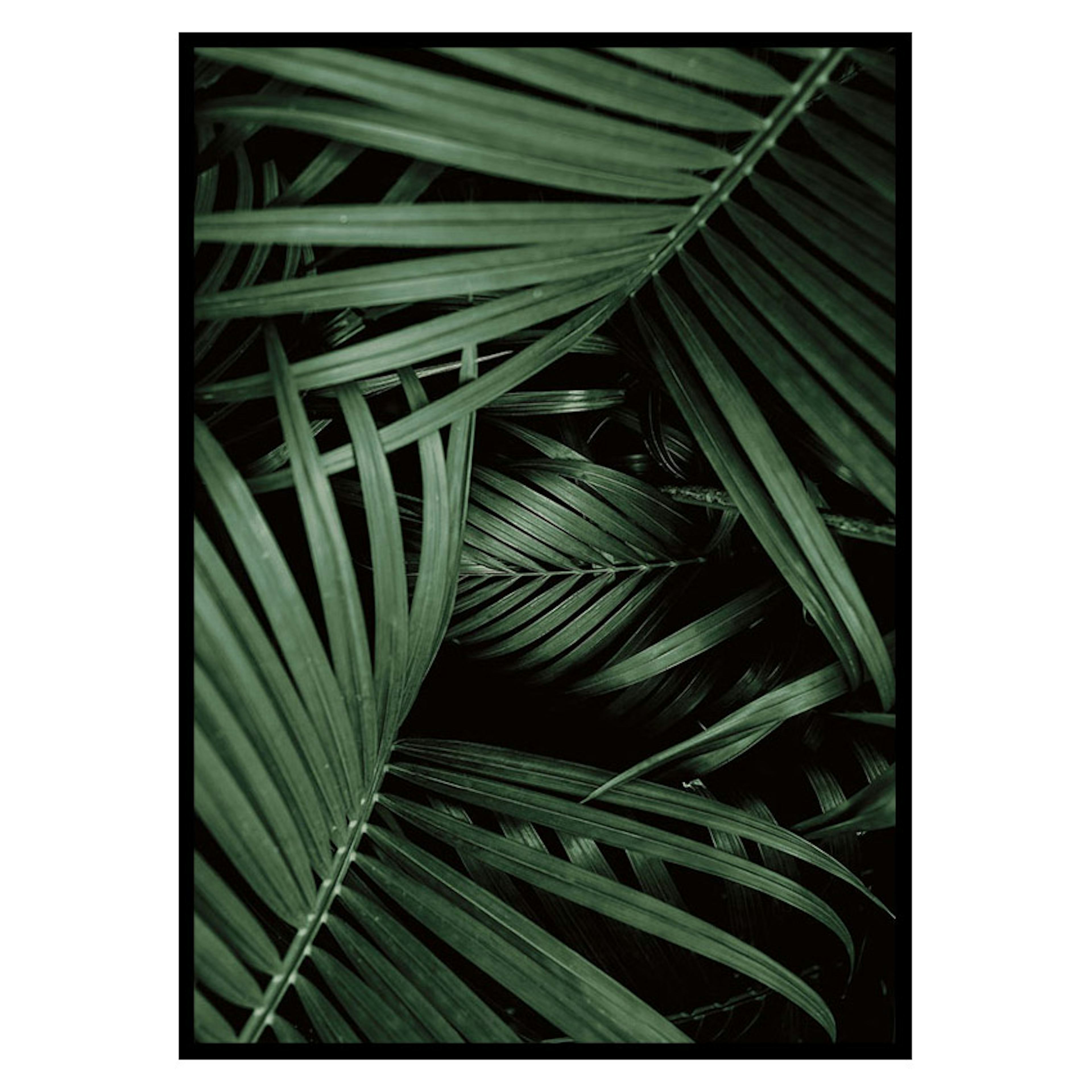 Poster Gallerix Intense Green No1