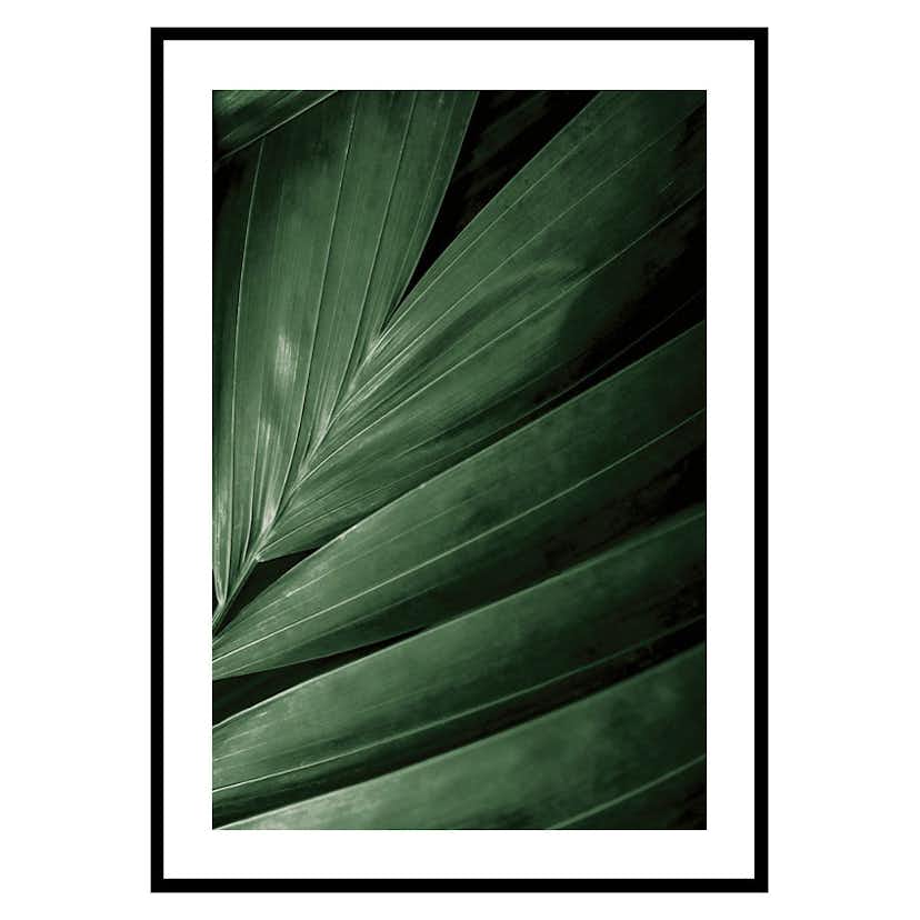 Poster Gallerix Intense Green No2