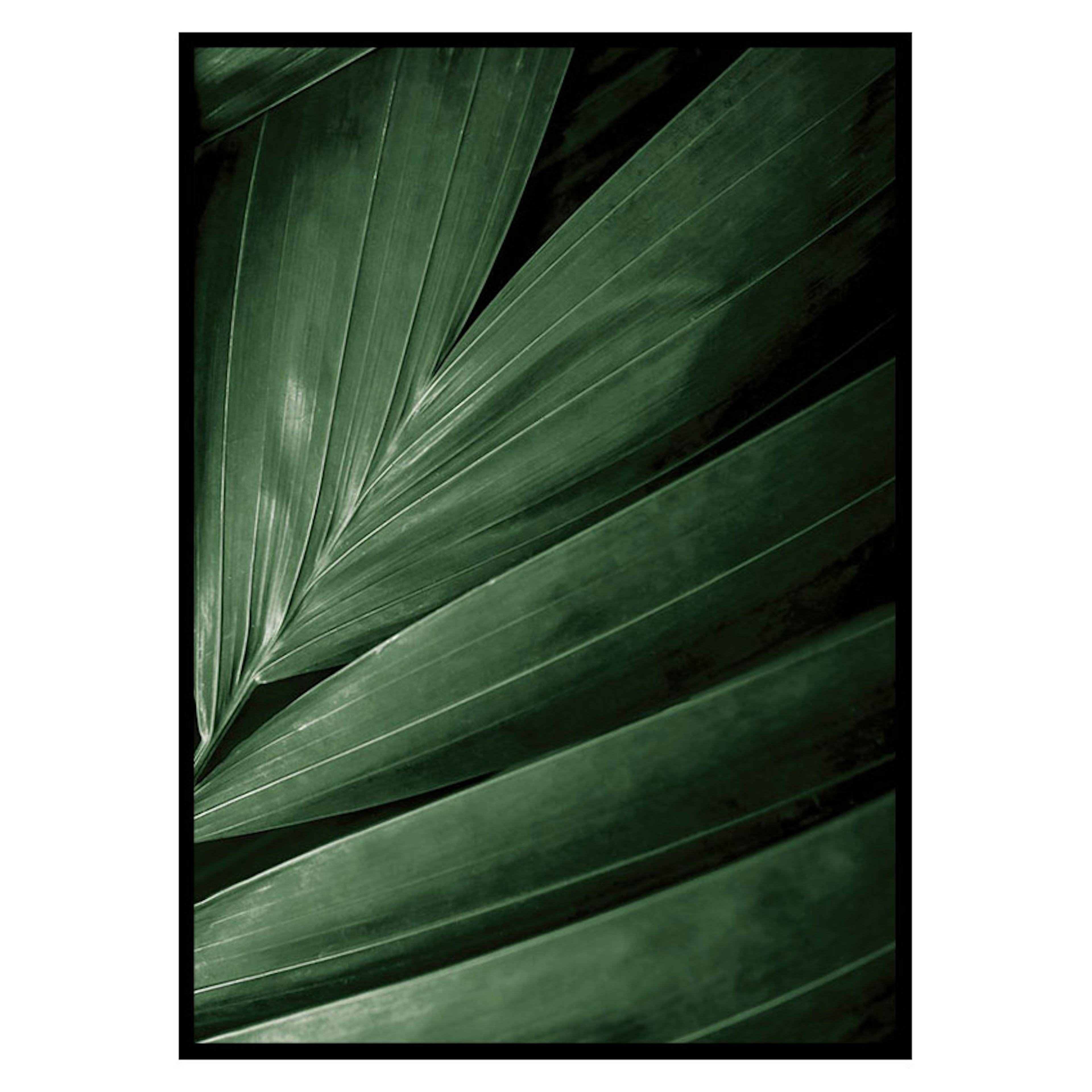 Poster Gallerix Intense Green No2