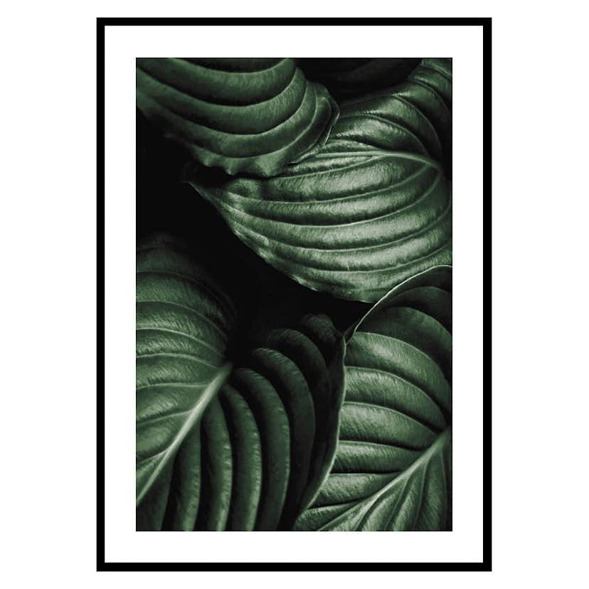 Poster Gallerix Intense Green No3