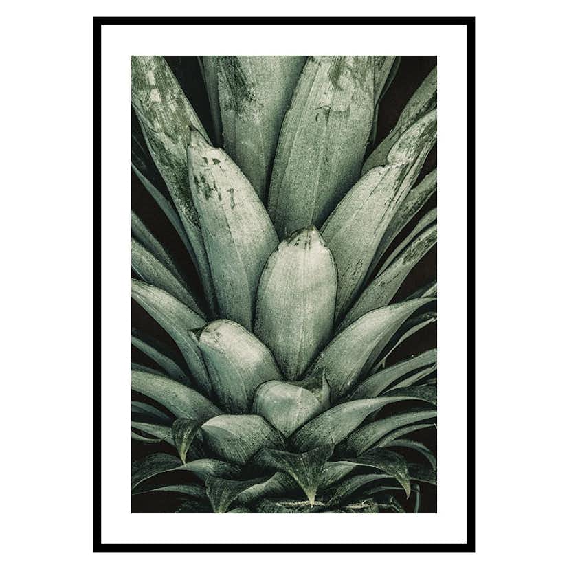 Poster Gallerix Pineapple Close