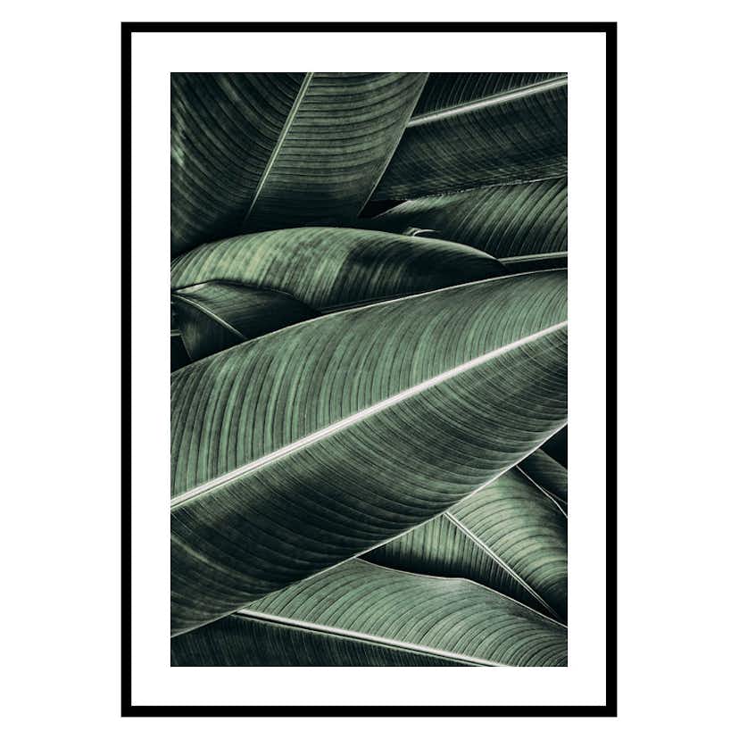 Poster Gallerix Banana Leaves No2