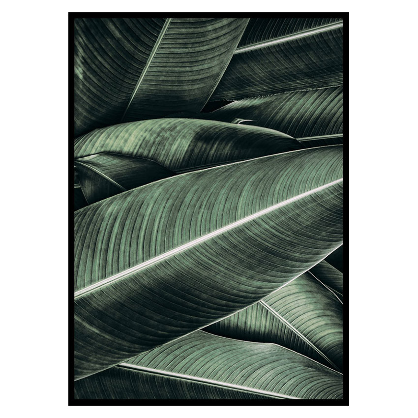 Poster Gallerix Banana Leaves No2