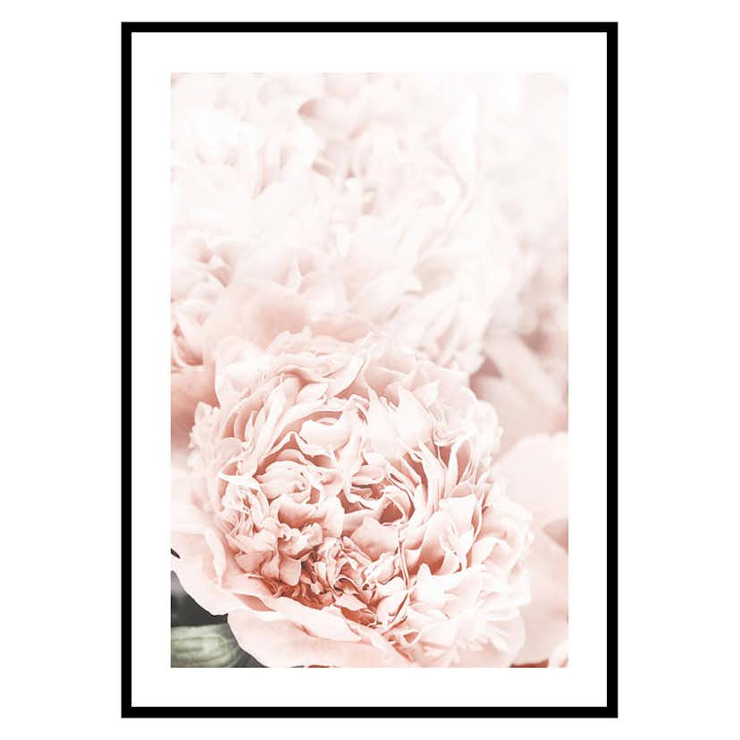 Poster Gallerix Loving Roses No1