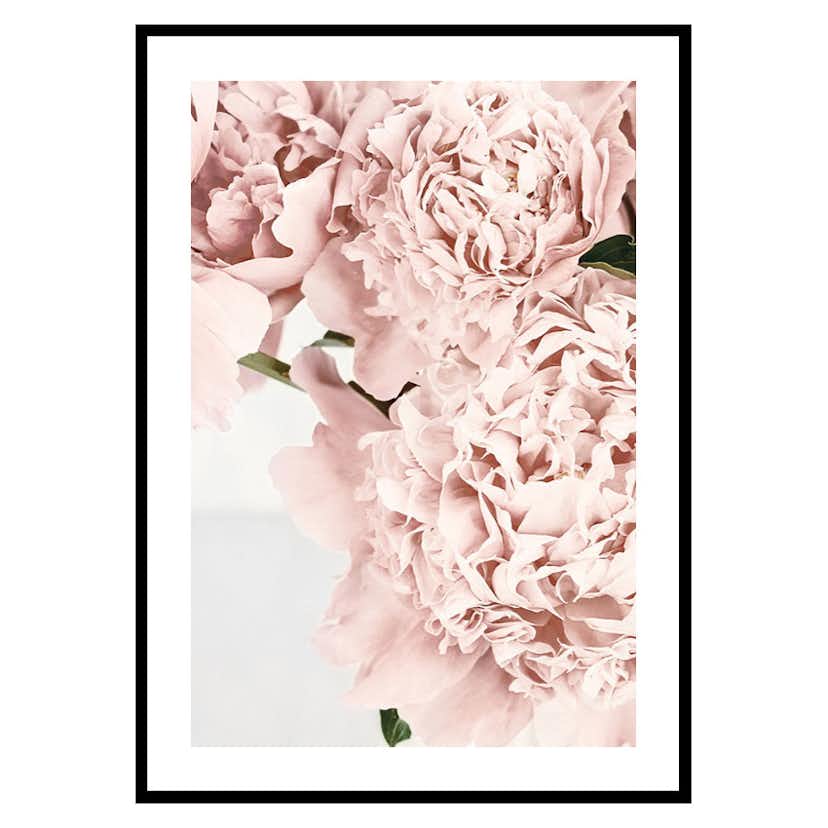 Poster Gallerix Loving Roses No2