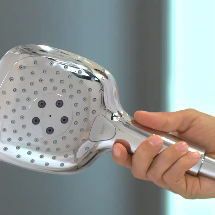 Handdusch Hansgrohe Raindance Select