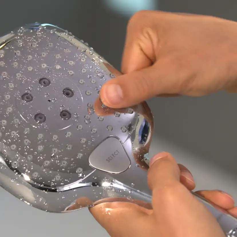 Handdusch Hansgrohe Raindance Select