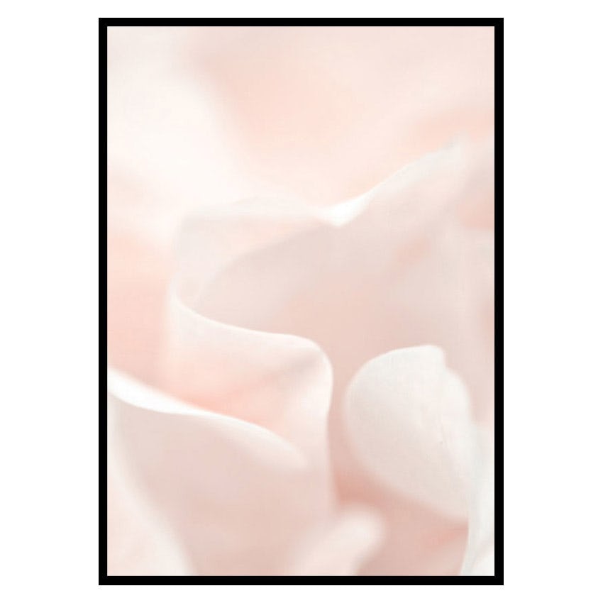 Poster Gallerix Tender Flowers No2