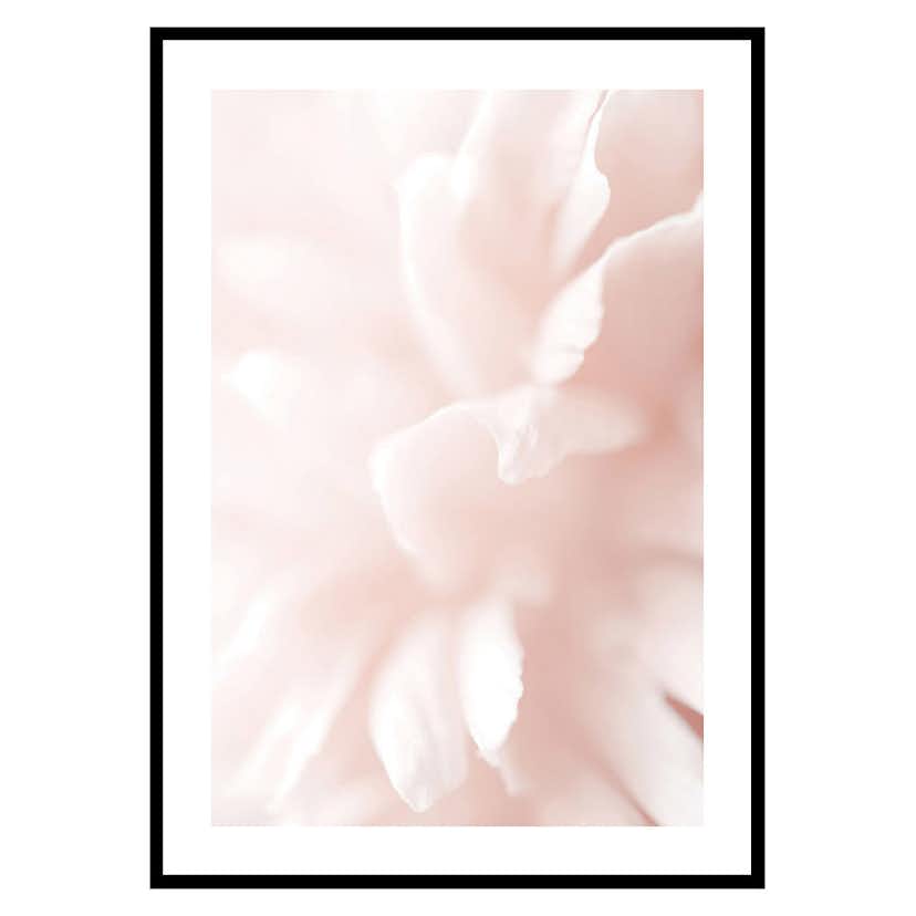 Poster Gallerix Tender Flowers No3