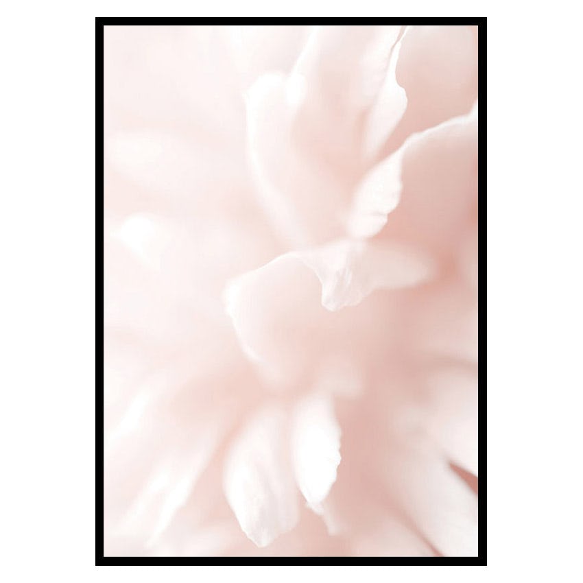 Poster Gallerix Tender Flowers No3