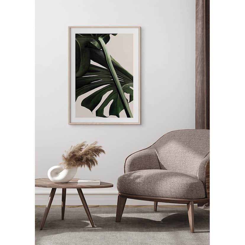Poster Gallerix Monstera One