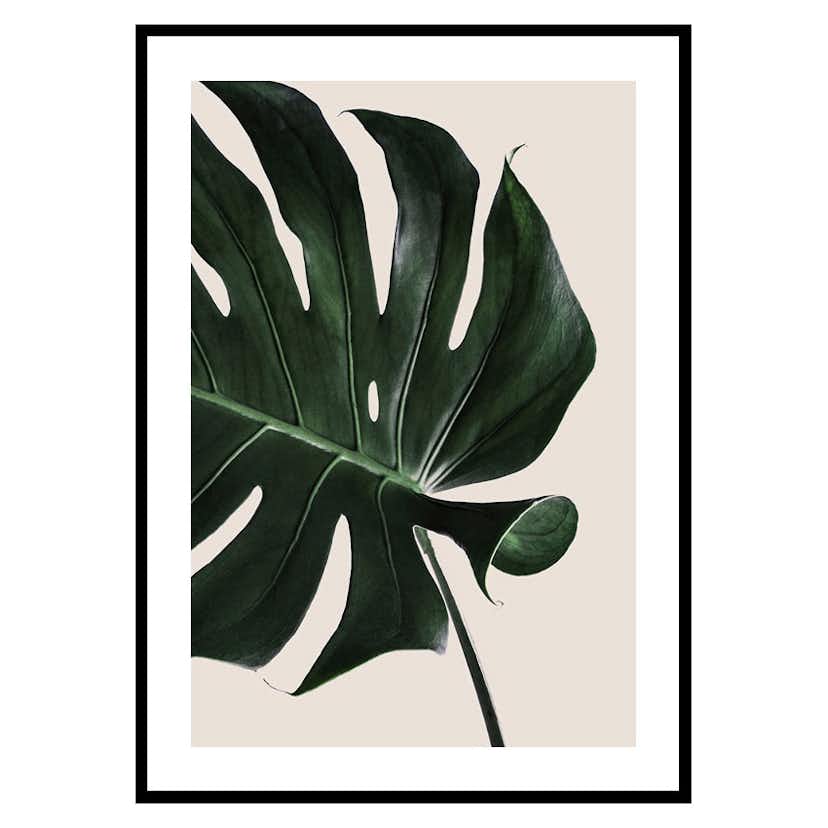 Poster Gallerix Monstera Two