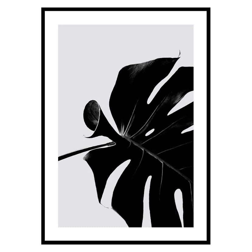 Poster Gallerix Monstera Black