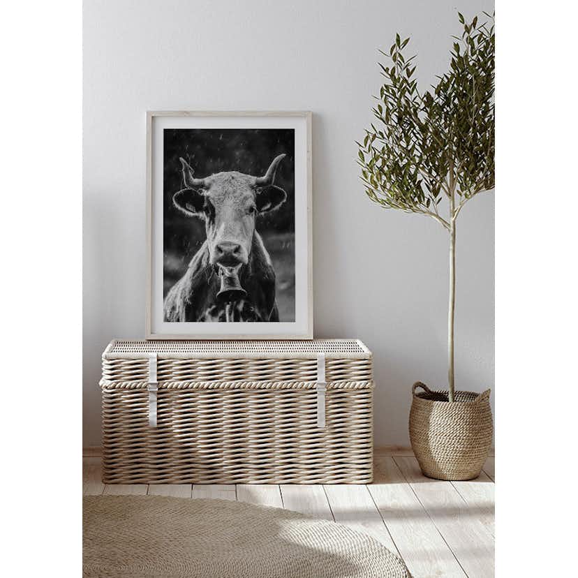 Poster Gallerix Cow With Bell