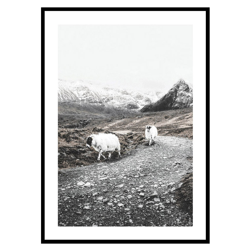 Poster Gallerix Winter Goats