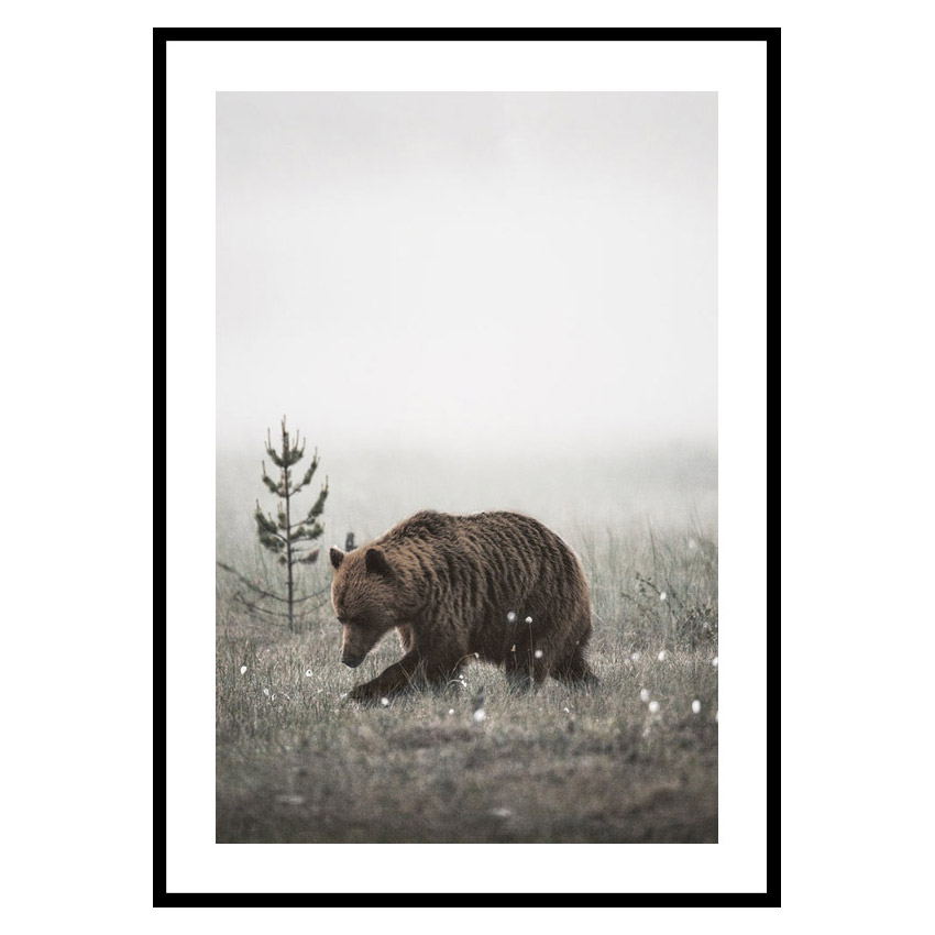 Poster Gallerix Winter Bear
