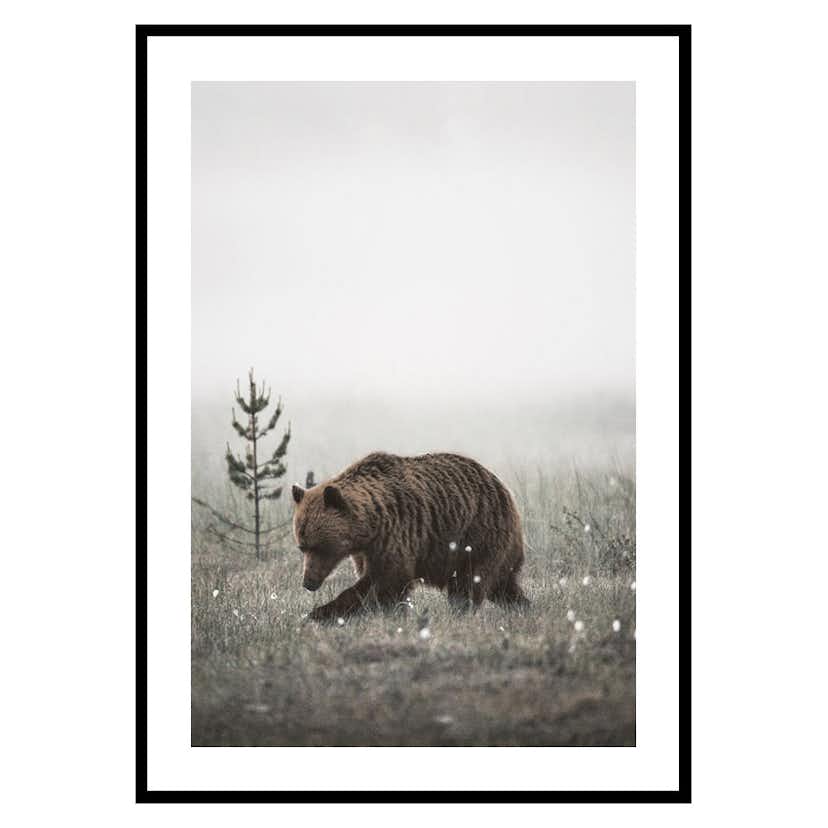 Poster Gallerix Winter Bear