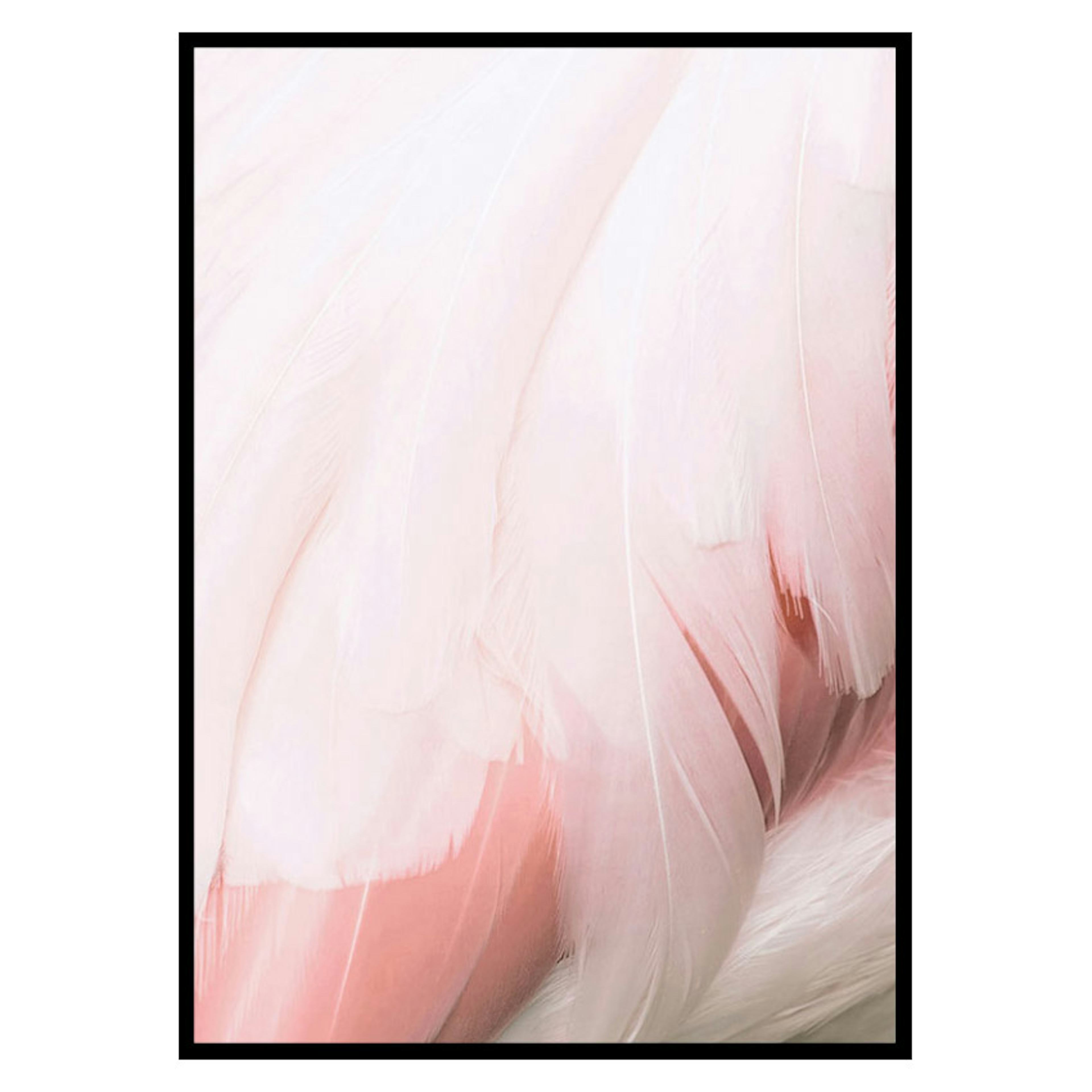 Poster Gallerix Flamingo Feathers