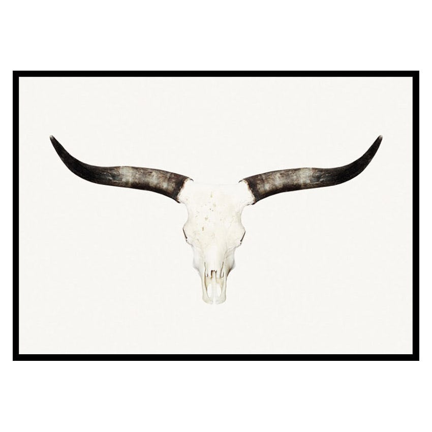 Poster Gallerix Animal Skull