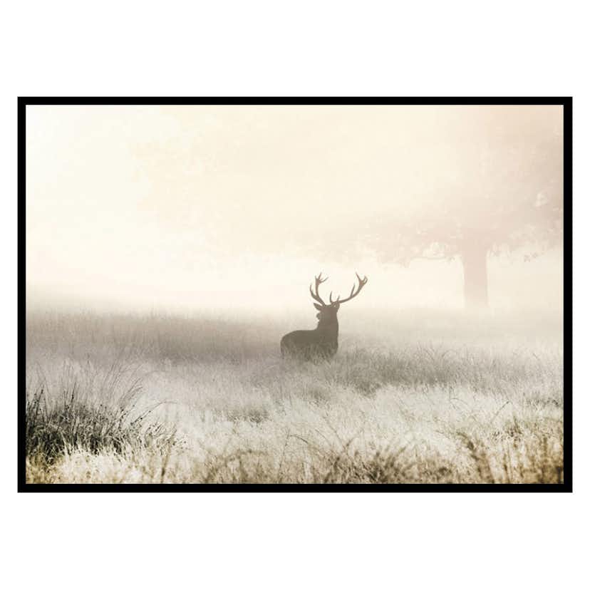 Poster Gallerix Deer In Mist
