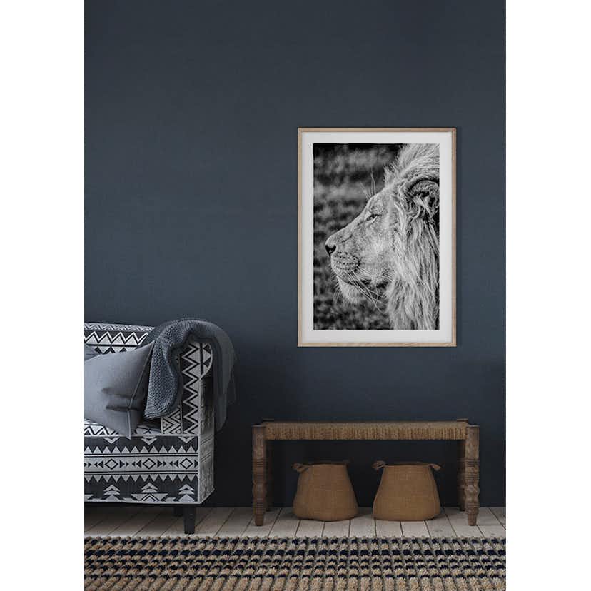 Poster Gallerix Male Lion Profile