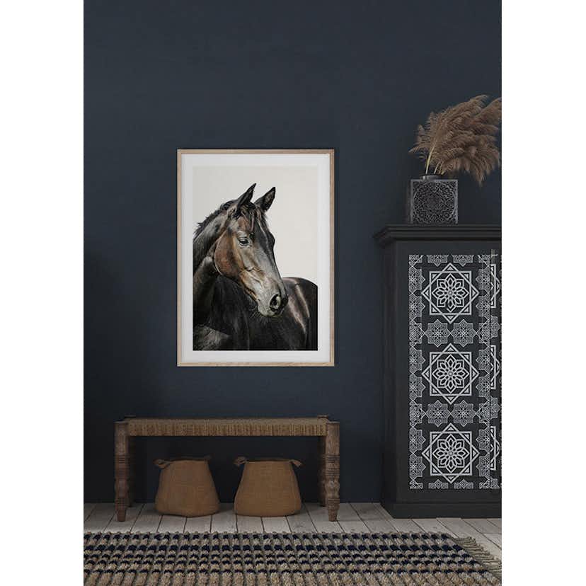 Poster Gallerix Brown Horse