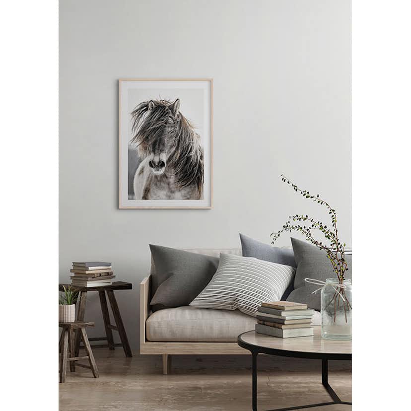 Poster Gallerix Wild Horse