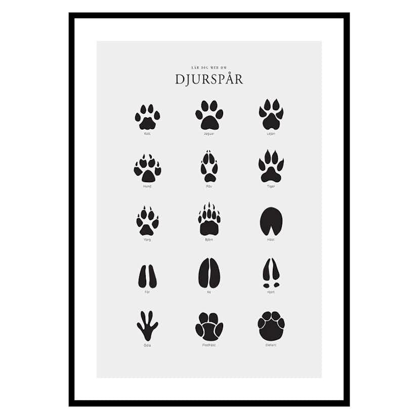 Poster Gallerix Djurspår