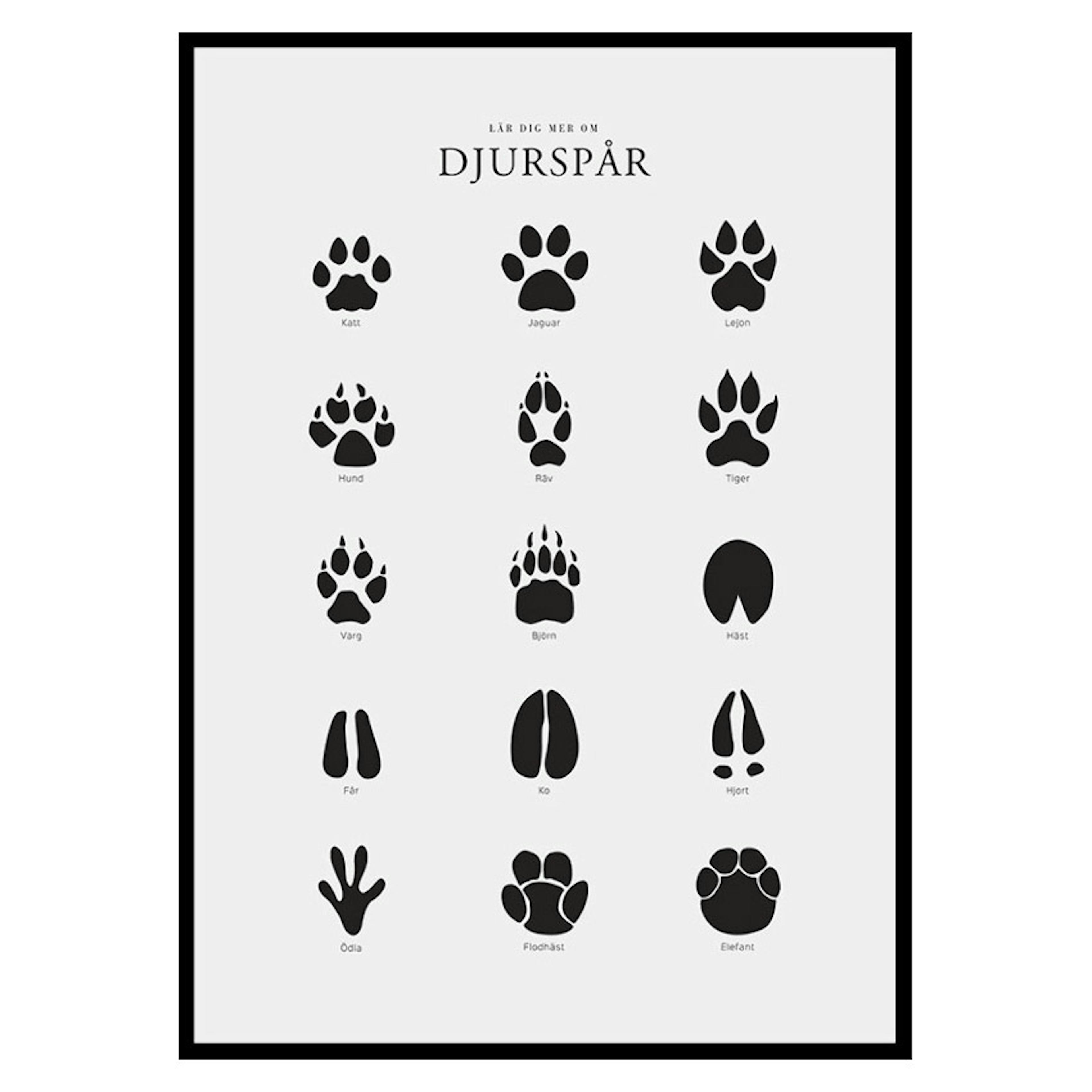 Poster Gallerix Djurspår