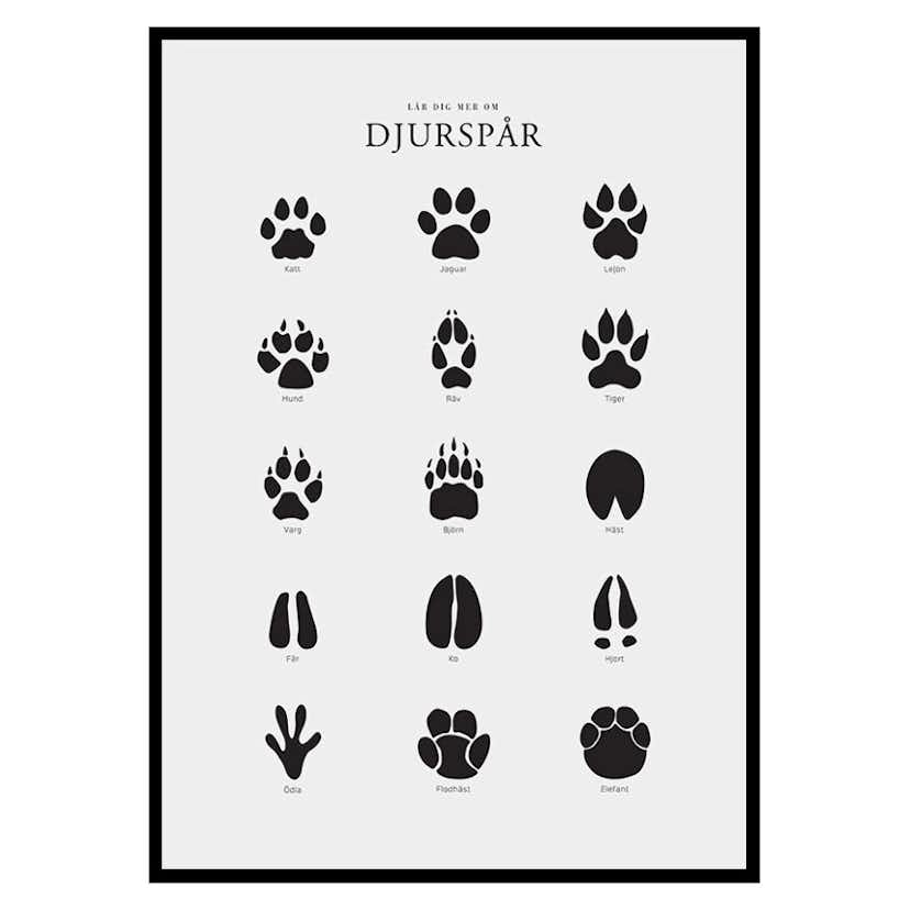 Poster Gallerix Djurspår