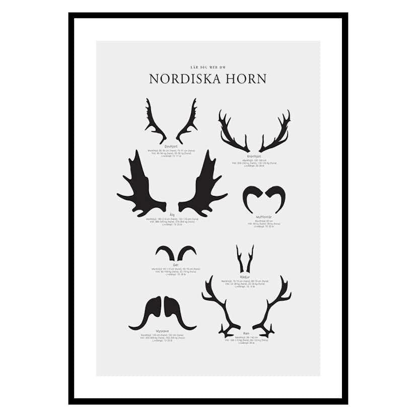 Poster Gallerix Nordiska Horn