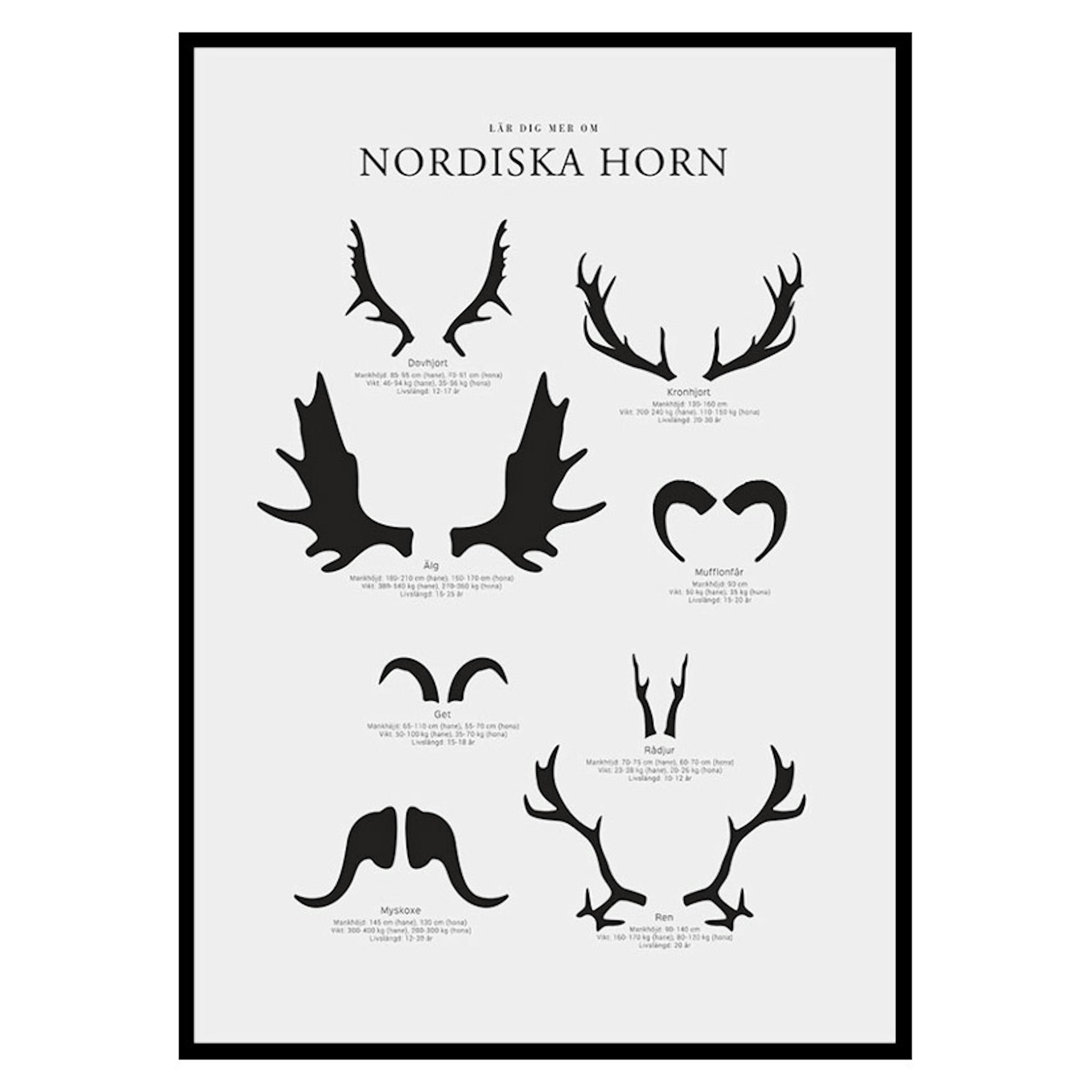 Poster Gallerix Nordiska Horn