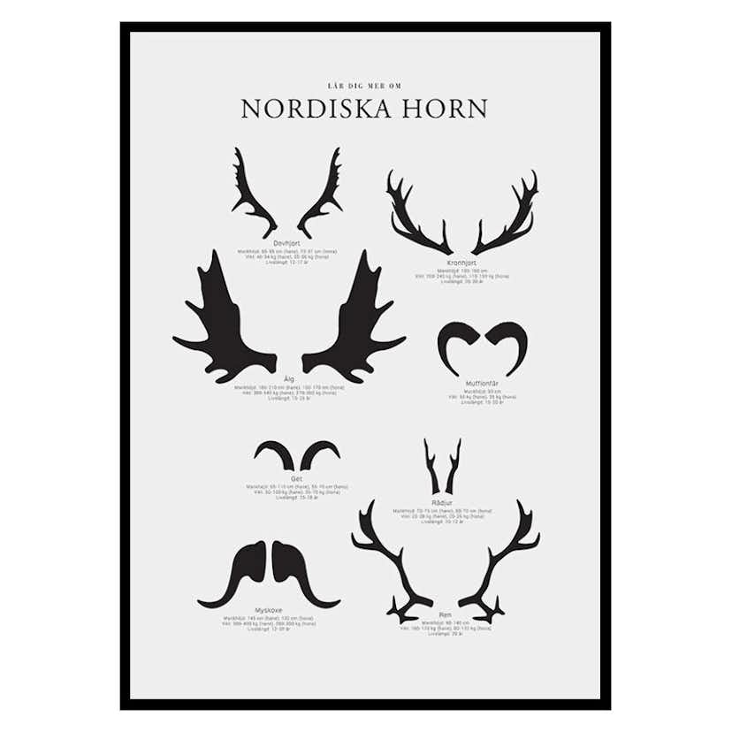 Poster Gallerix Nordiska Horn