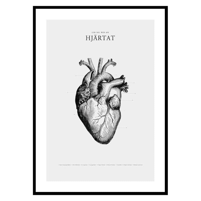 Poster Gallerix Hjärtat