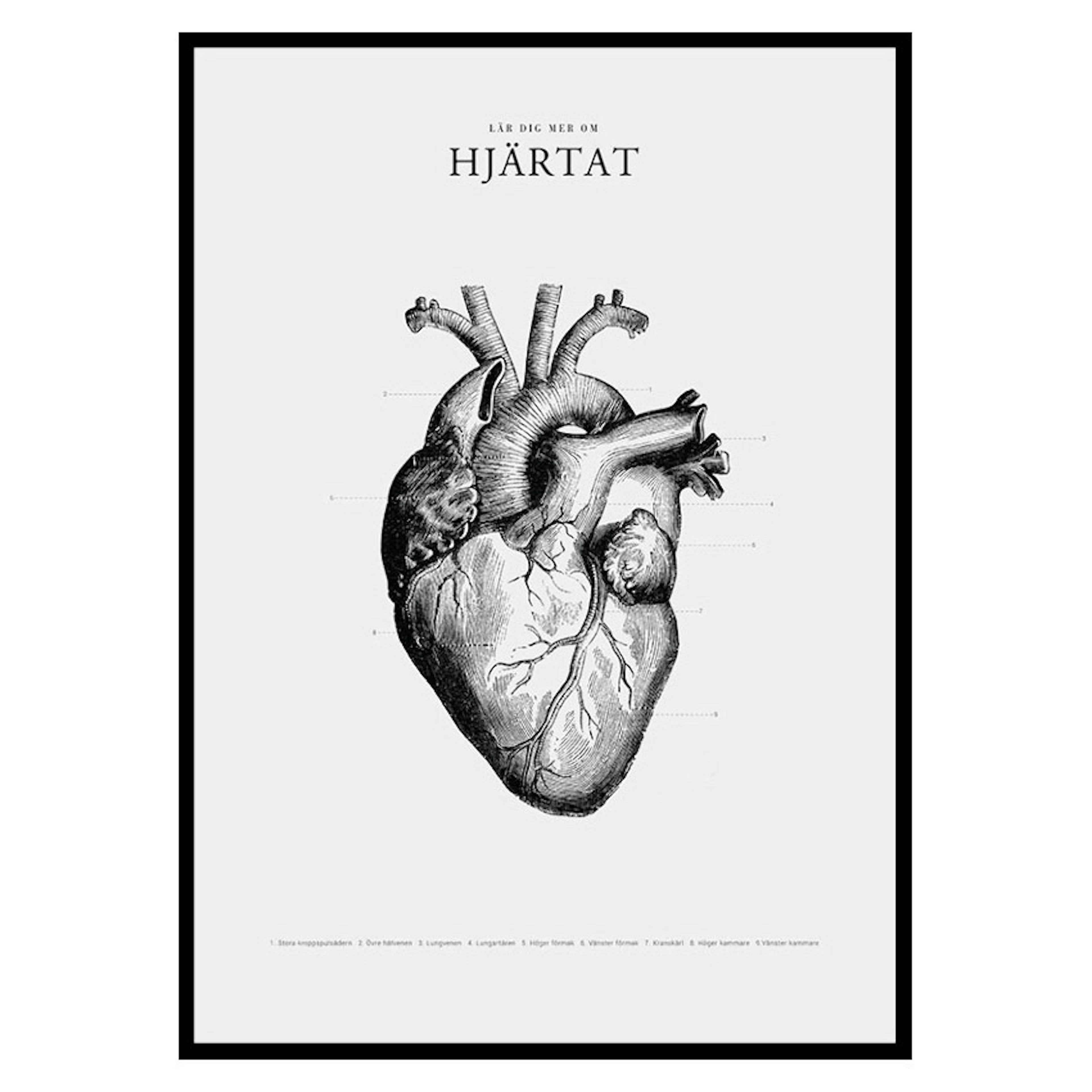 Poster Gallerix Hjärtat