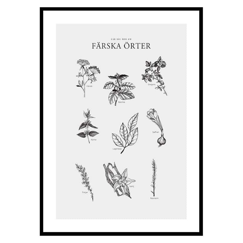 Poster Gallerix Färska Örter