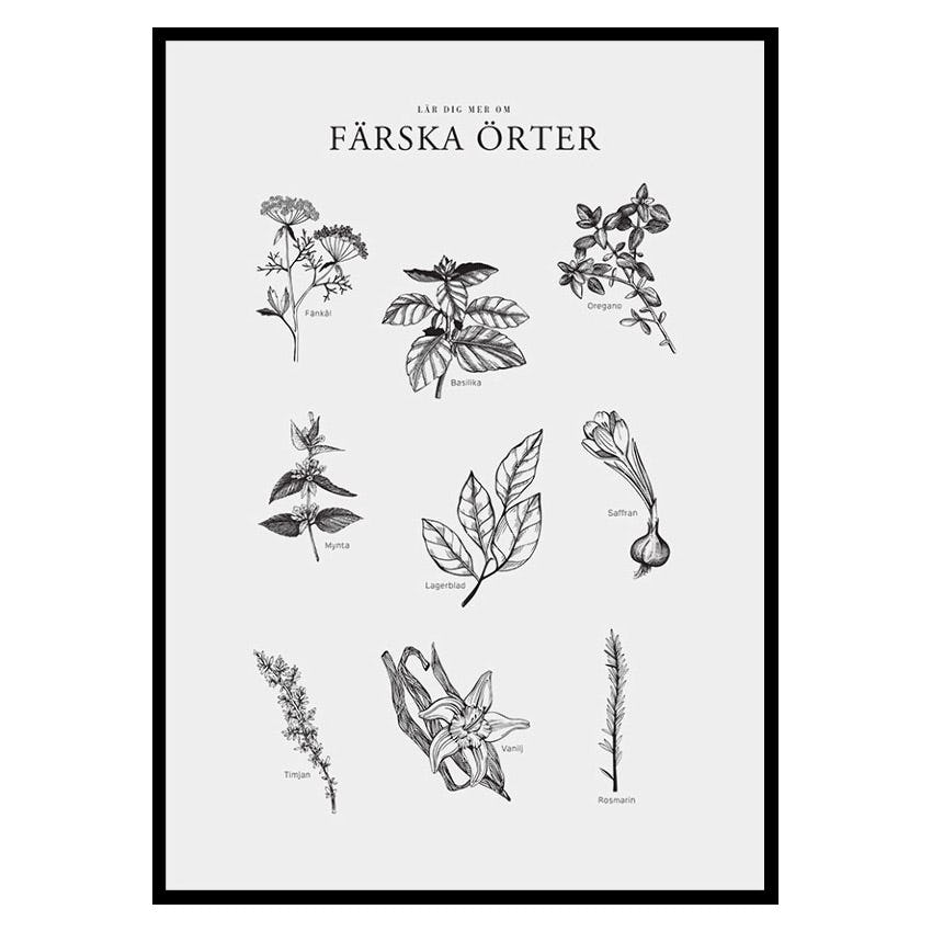 Poster Gallerix Färska Örter