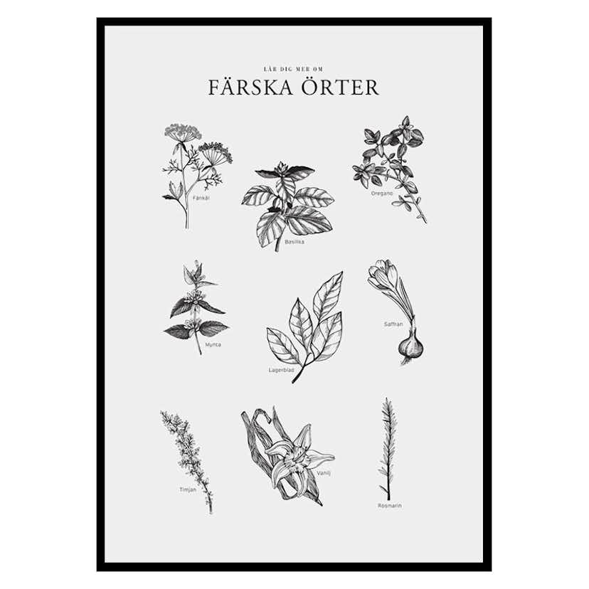 Poster Gallerix Färska Örter