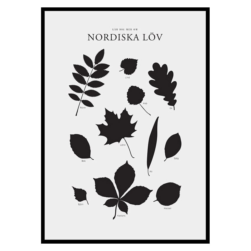 Poster Gallerix Nordiska Löv