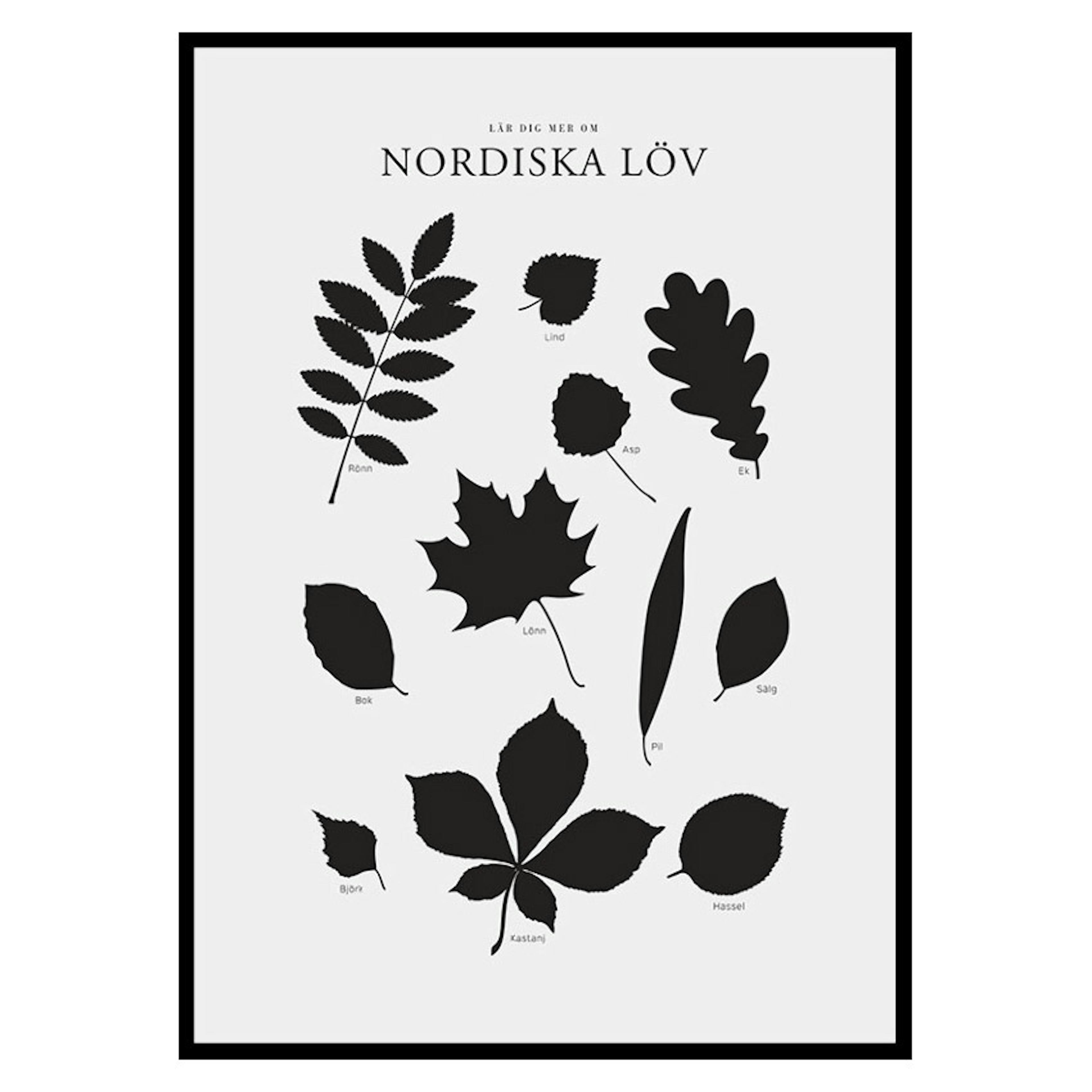 Poster Gallerix Nordiska Löv