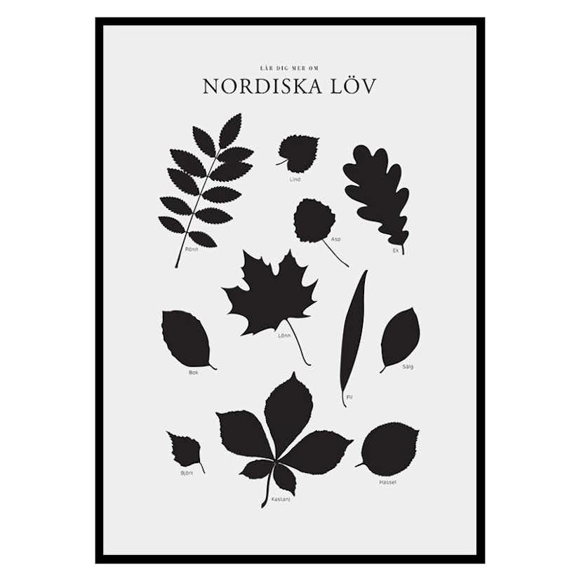 Poster Gallerix Nordiska Löv