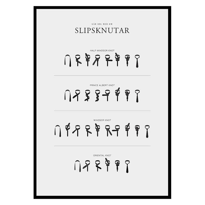 Poster Gallerix Slipsknutar