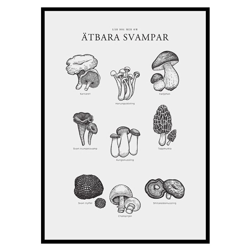 Poster Gallerix Ätbara Svampar